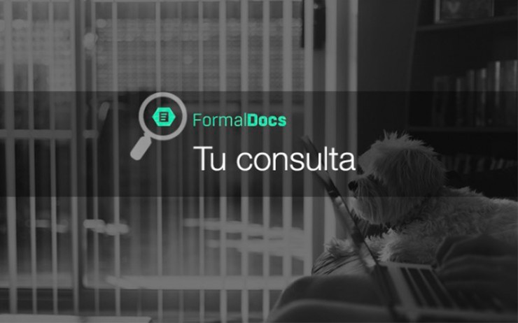 Tu consulta