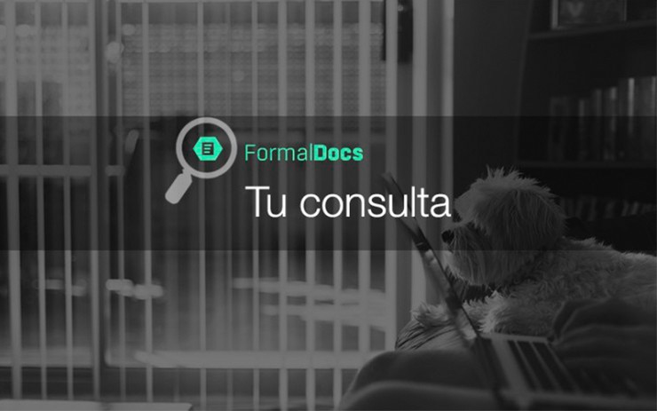 Tu consulta