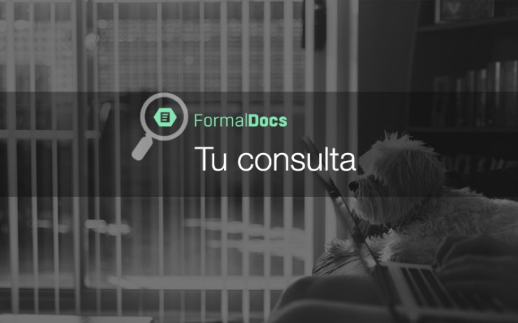 tu consulta